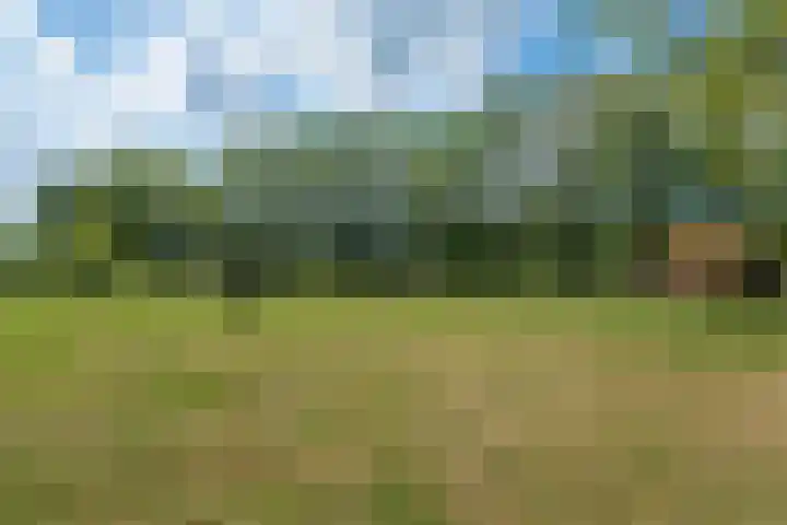 Johannes Durksloane 2 Damwâld thumbnail 95