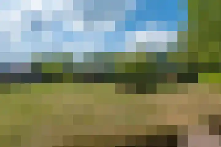 Johannes Durksloane 2 Damwâld thumbnail 96