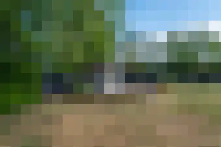 Johannes Durksloane 2 Damwâld thumbnail 97