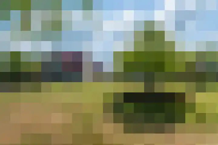 Johannes Durksloane 2 Damwâld thumbnail 98