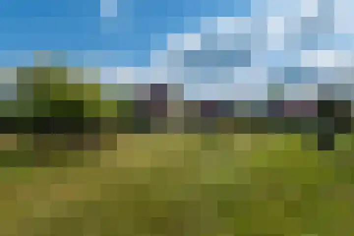 Johannes Durksloane 2 Damwâld thumbnail 99