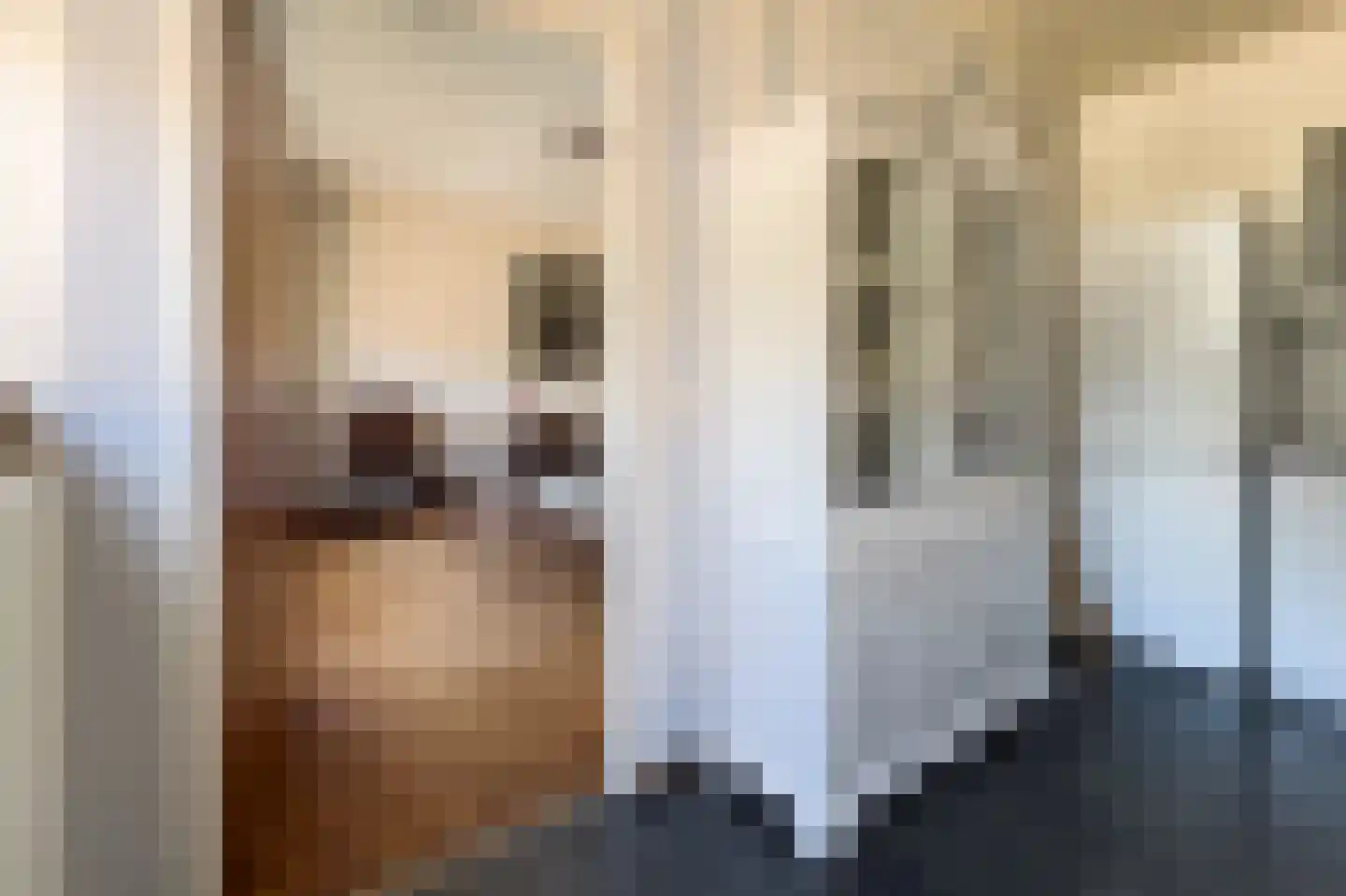 Johannes Elsevierlaan 9 Barneveld thumbnail 16