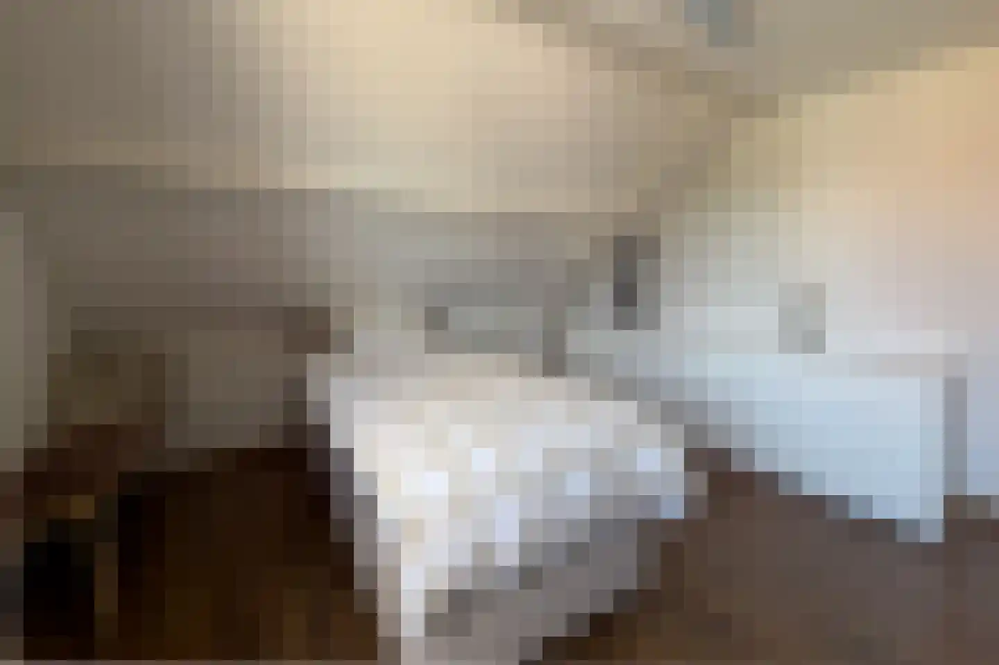 Johannes Elsevierlaan 9 Barneveld thumbnail 21