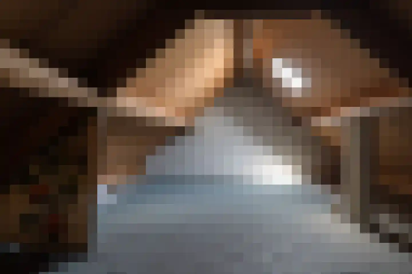 Johannes Elsevierlaan 9 Barneveld thumbnail 28