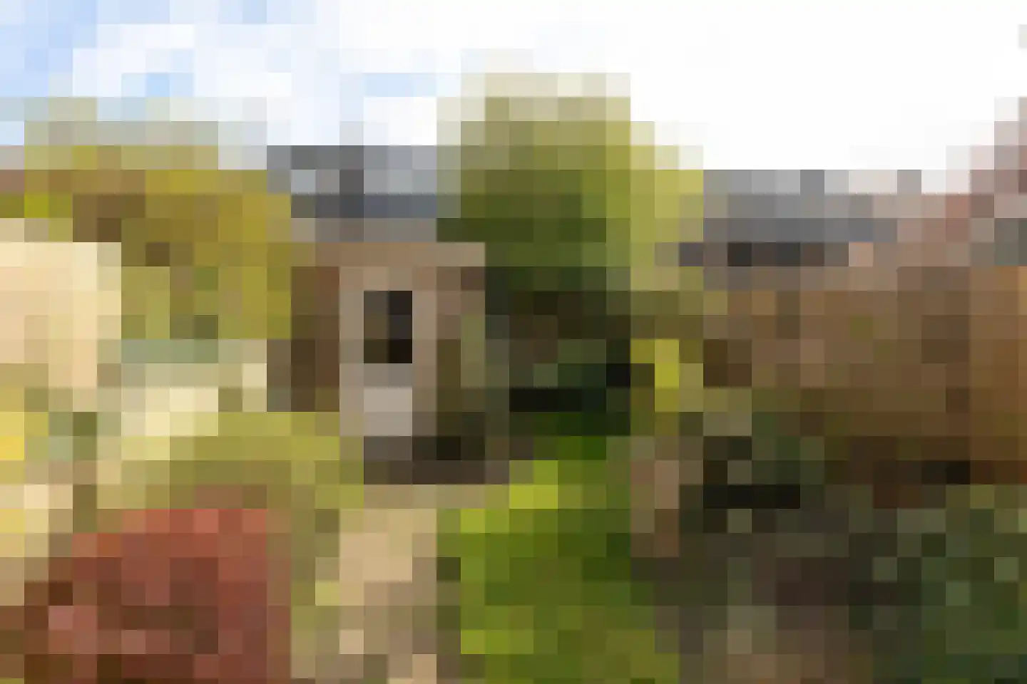 Johannes Geradtsweg 119 Hilversum thumbnail 27