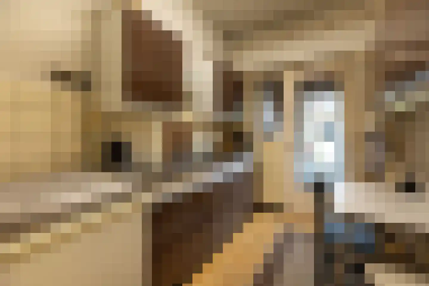 Johannes Geradtsweg 119 Hilversum thumbnail 8