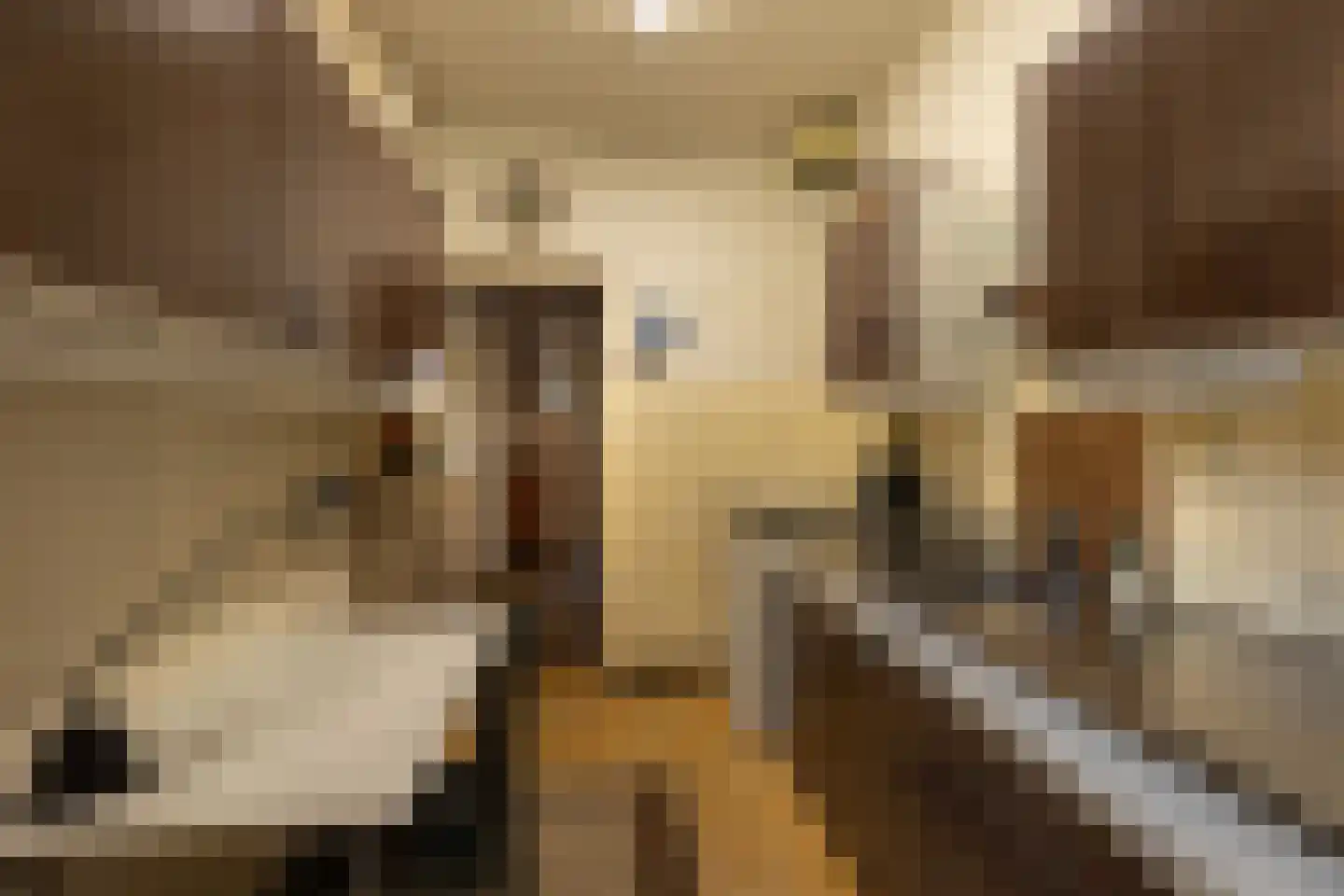 Johannes Geradtsweg 119 Hilversum thumbnail 9