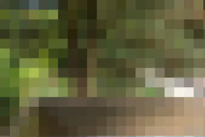 Johannes Geradtsweg 126 Hilversum thumbnail 24