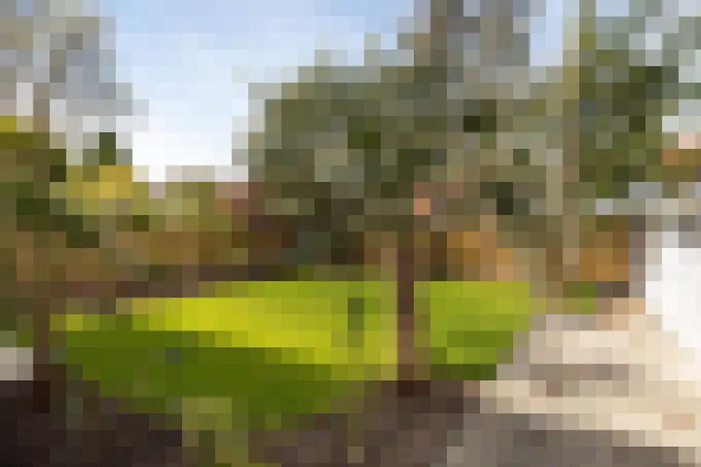 Johannes Geradtsweg 126 Hilversum thumbnail 27