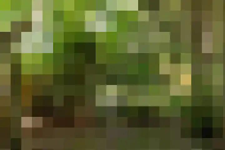 Johannes Geradtsweg 126 Hilversum thumbnail 30