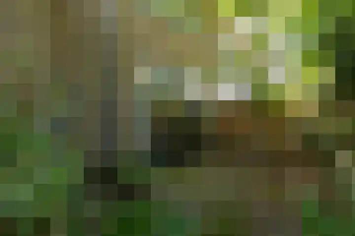 Johannes Geradtsweg 126 Hilversum thumbnail 31