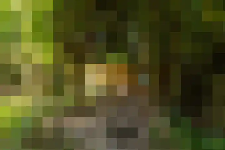 Johannes Geradtsweg 126 Hilversum thumbnail 32