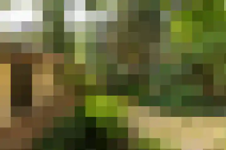 Johannes Geradtsweg 126 Hilversum thumbnail 33