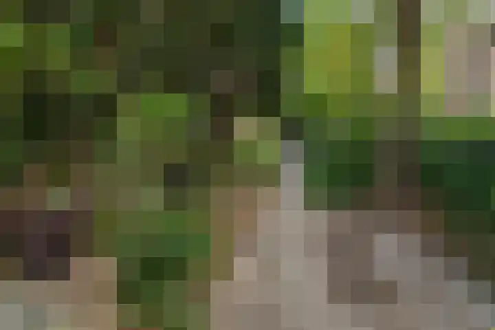 Johannes Geradtsweg 126 Hilversum thumbnail 4