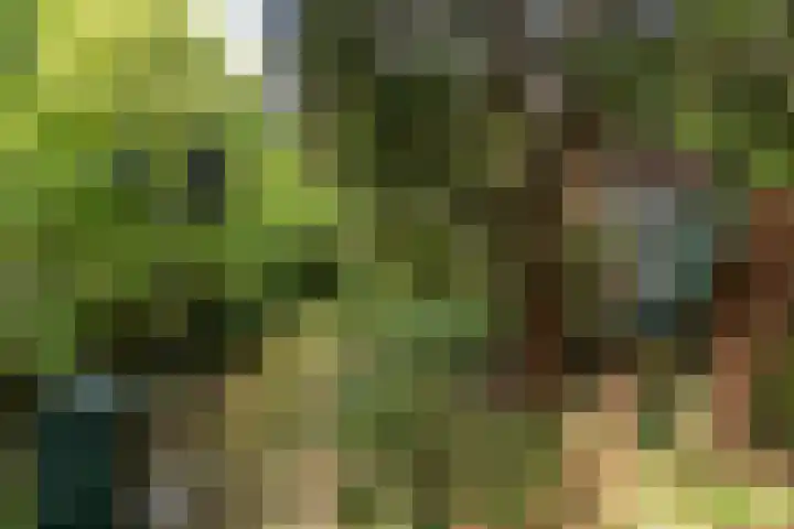 Johannes Geradtsweg 126 Hilversum thumbnail 5