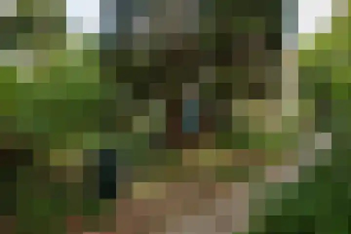 Johannes Geradtsweg 126 Hilversum thumbnail 6