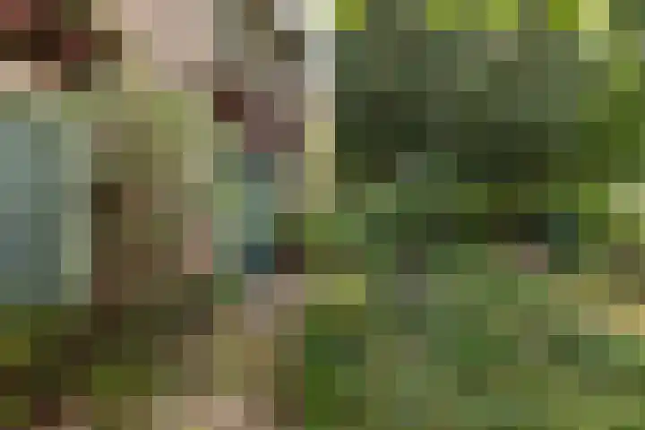 Johannes Geradtsweg 126 Hilversum thumbnail 7