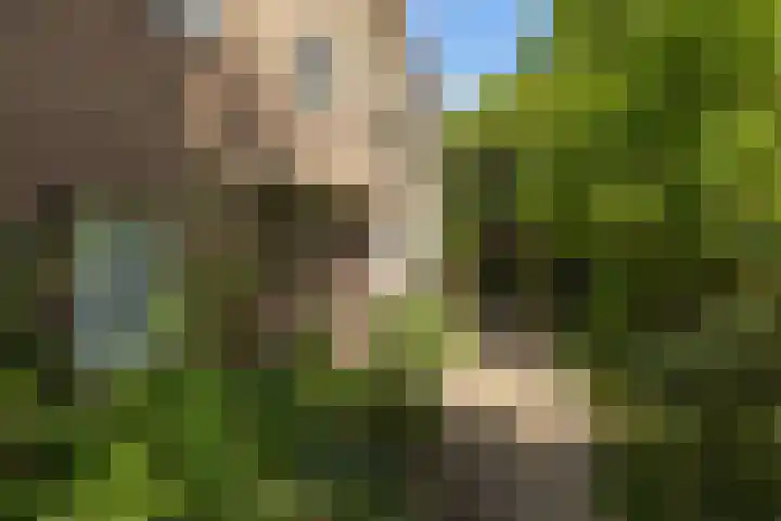 Johannes Geradtsweg 126 Hilversum thumbnail 8