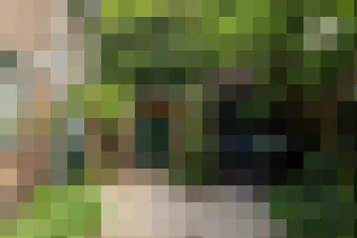 Johannes Geradtsweg 126 Hilversum thumbnail 9