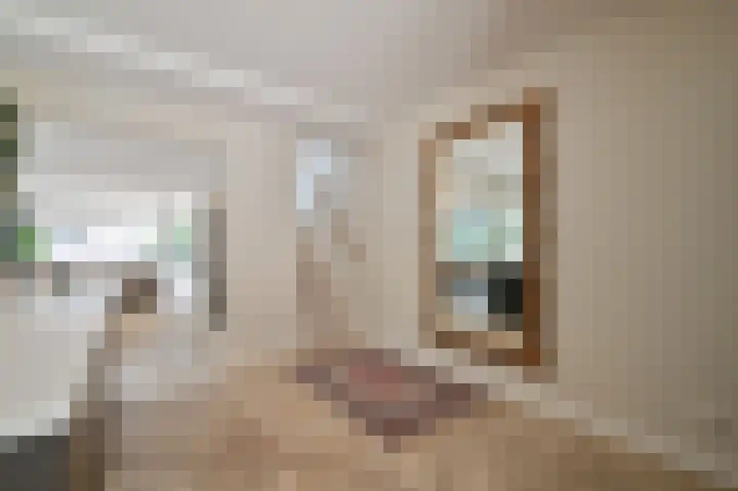 Johannes Geradtsweg 17 A Hilversum thumbnail 10