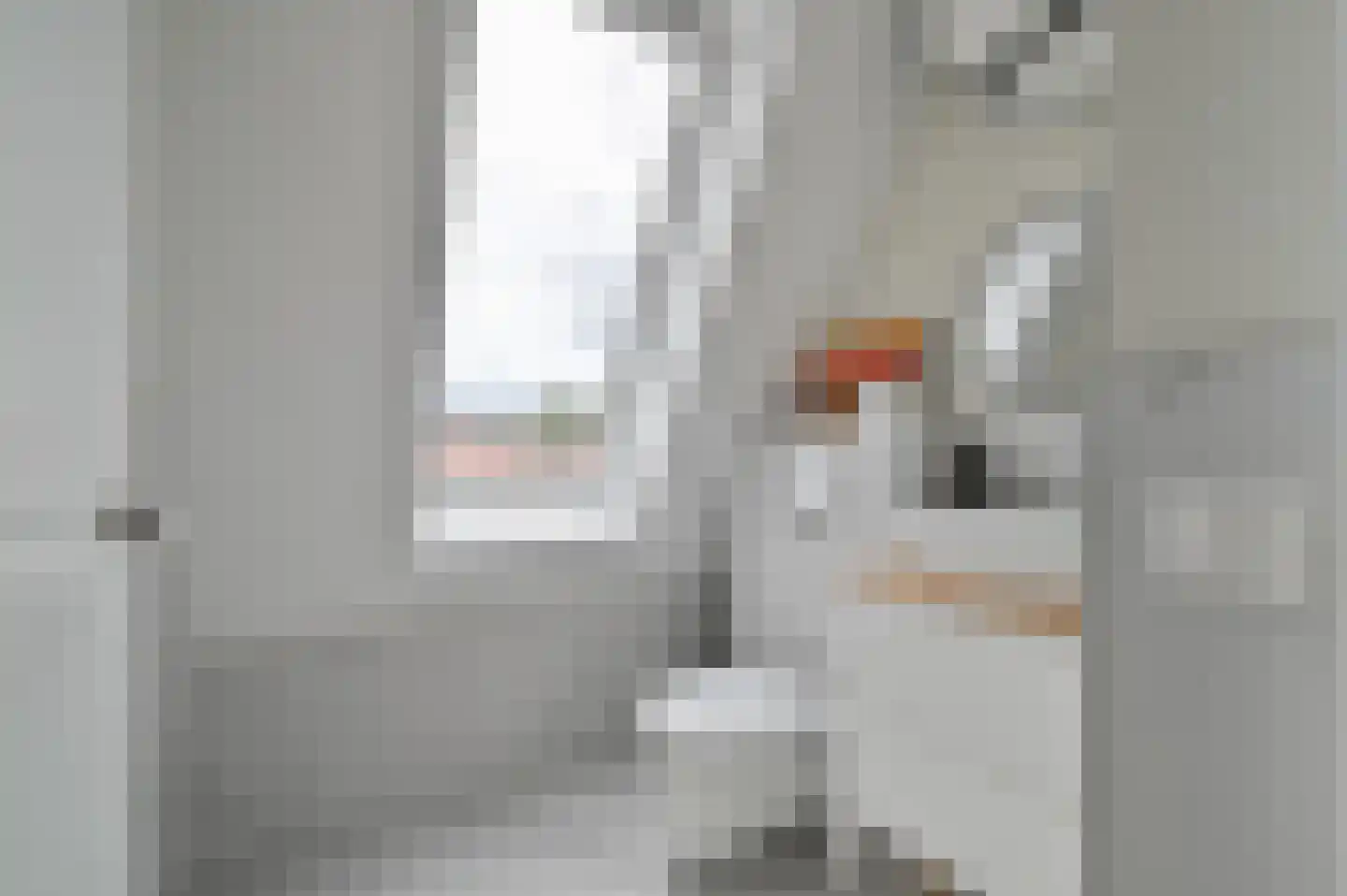 Johannes Geradtsweg 17 A Hilversum thumbnail 28