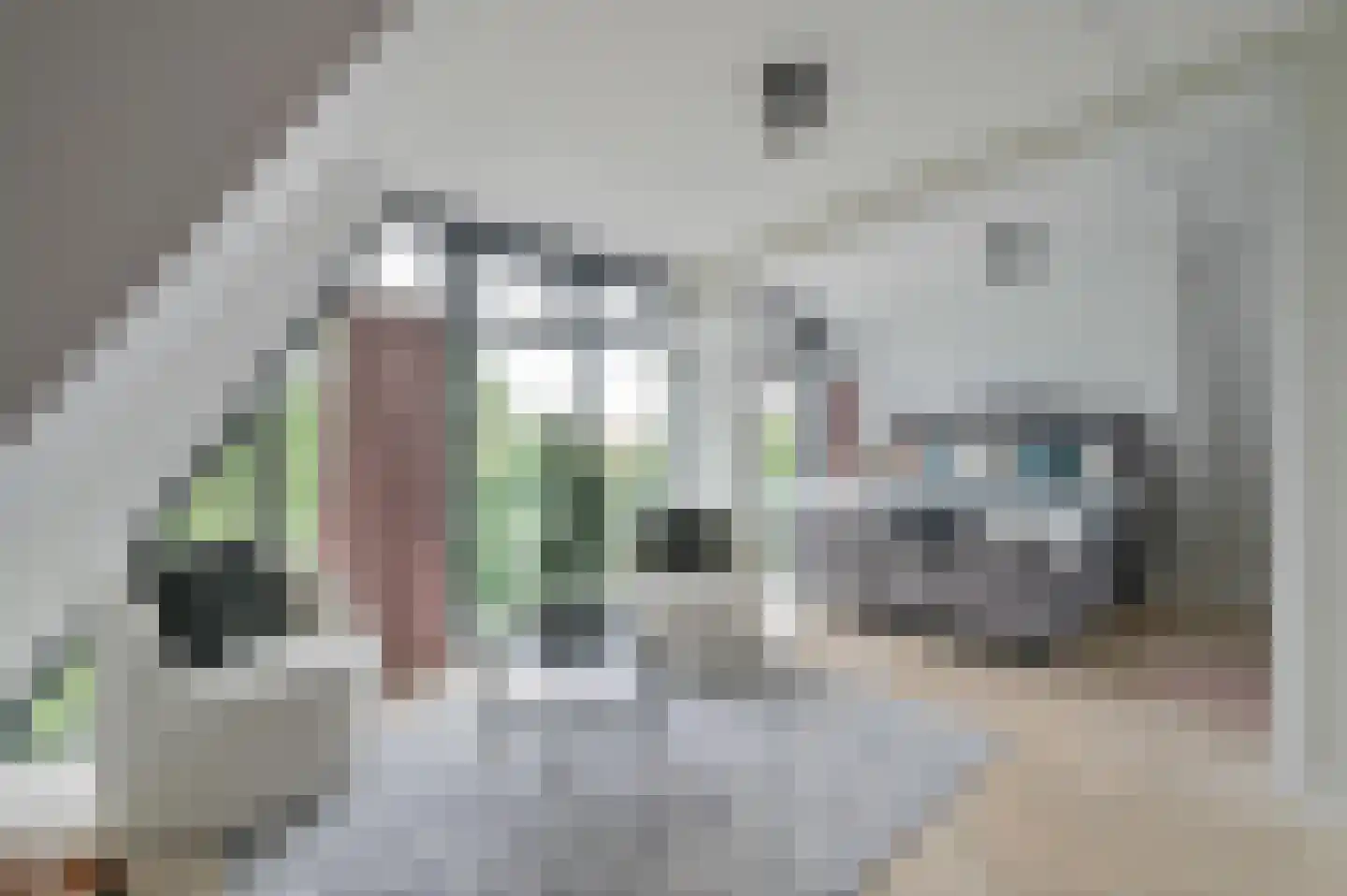 Johannes Geradtsweg 17 A Hilversum thumbnail 29