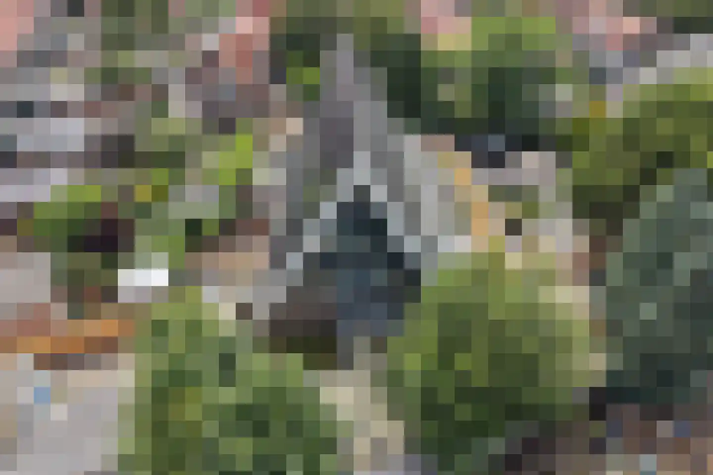 Johannes Geradtsweg 17 A Hilversum thumbnail 34