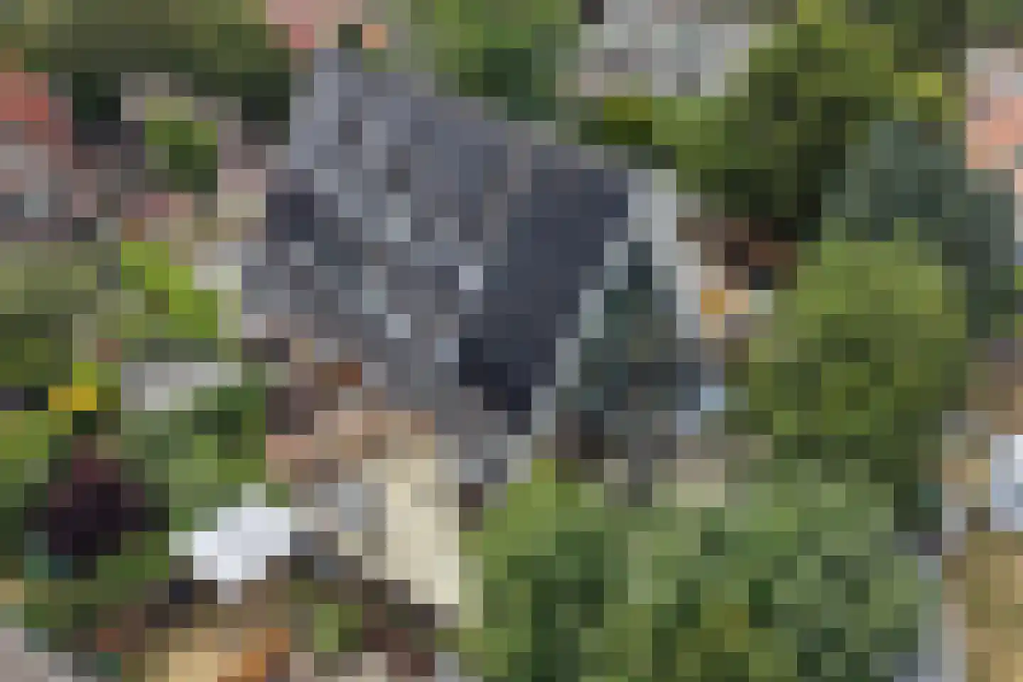 Johannes Geradtsweg 17 A Hilversum thumbnail 44