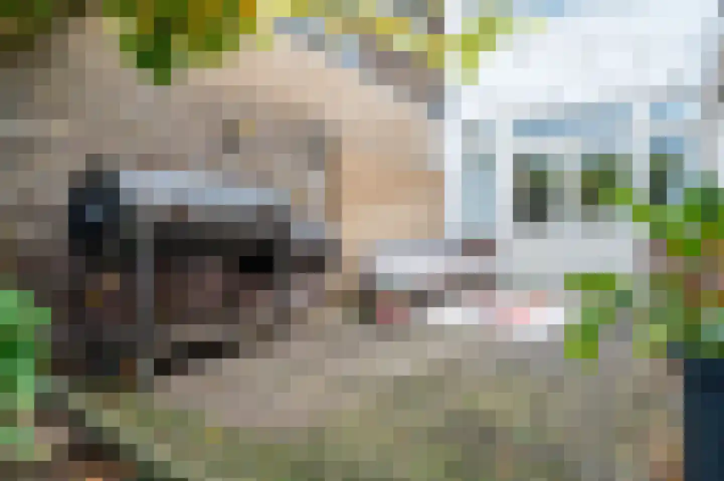 Johannes Geradtsweg 176 Hilversum thumbnail 41