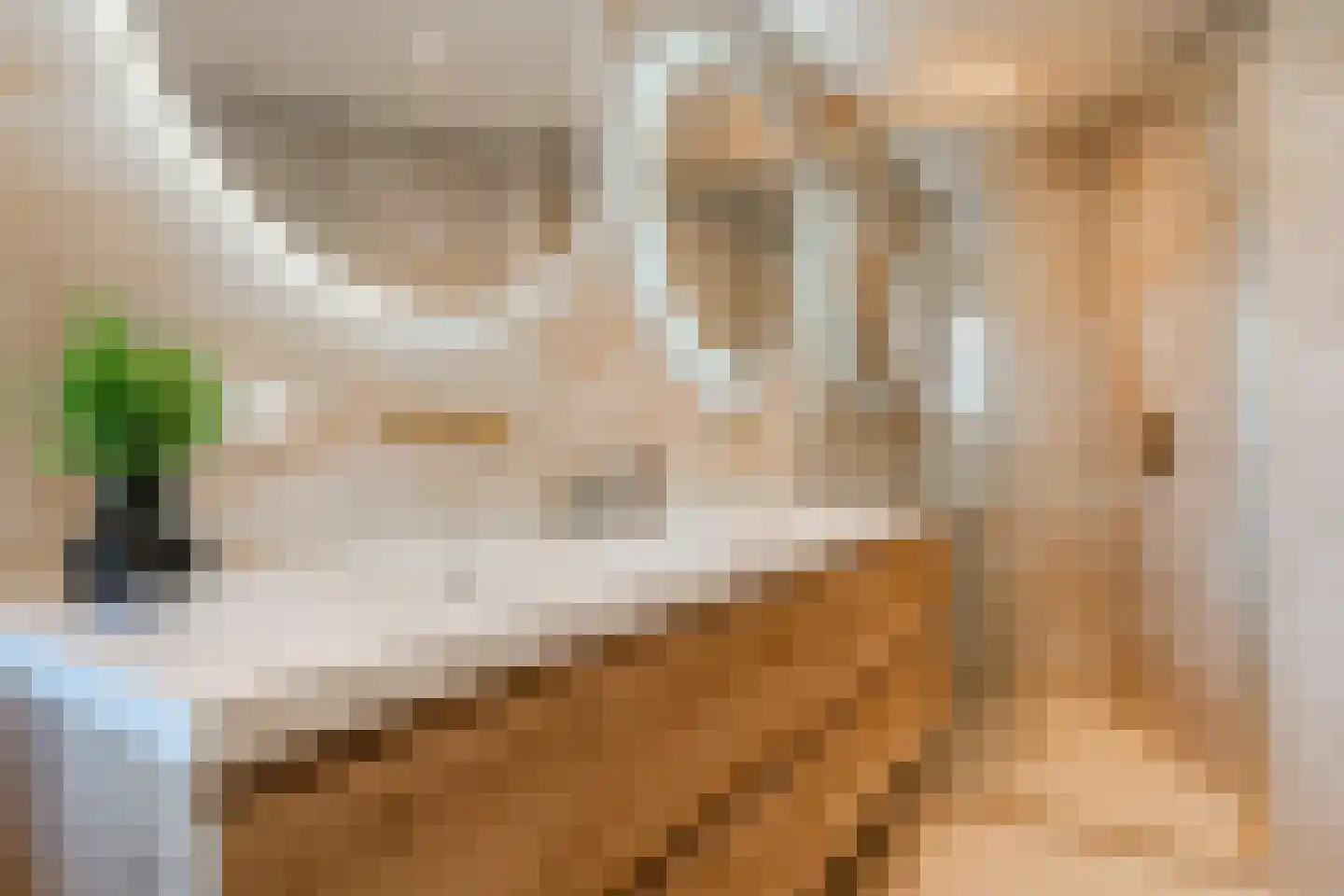 Johannes Geradtsweg 24 B Hilversum thumbnail 33