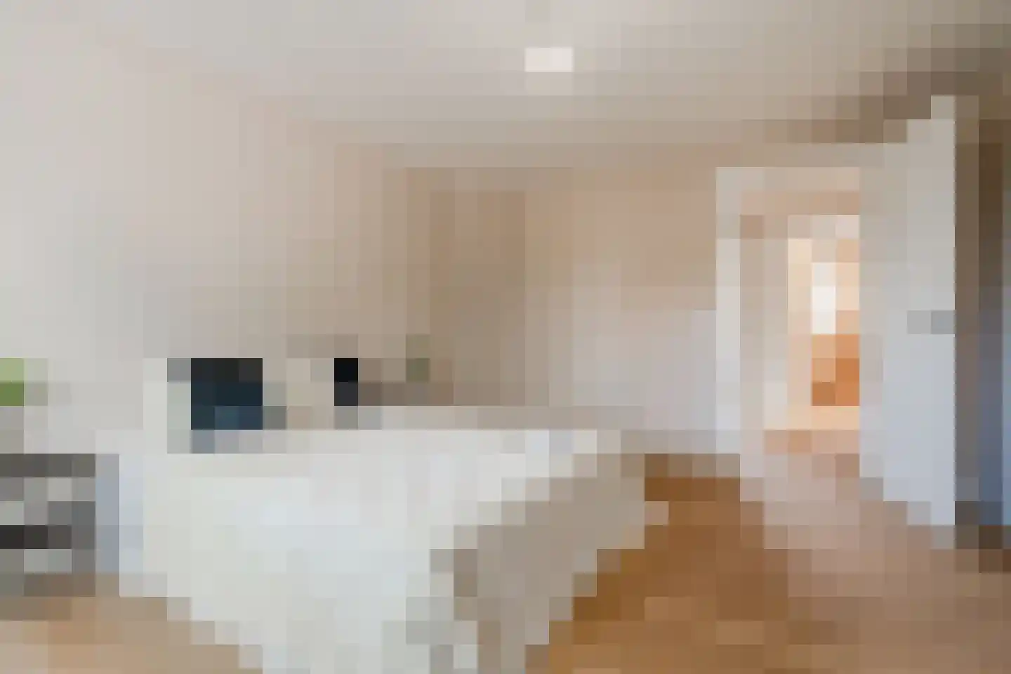 Johannes Geradtsweg 24 B Hilversum thumbnail 37