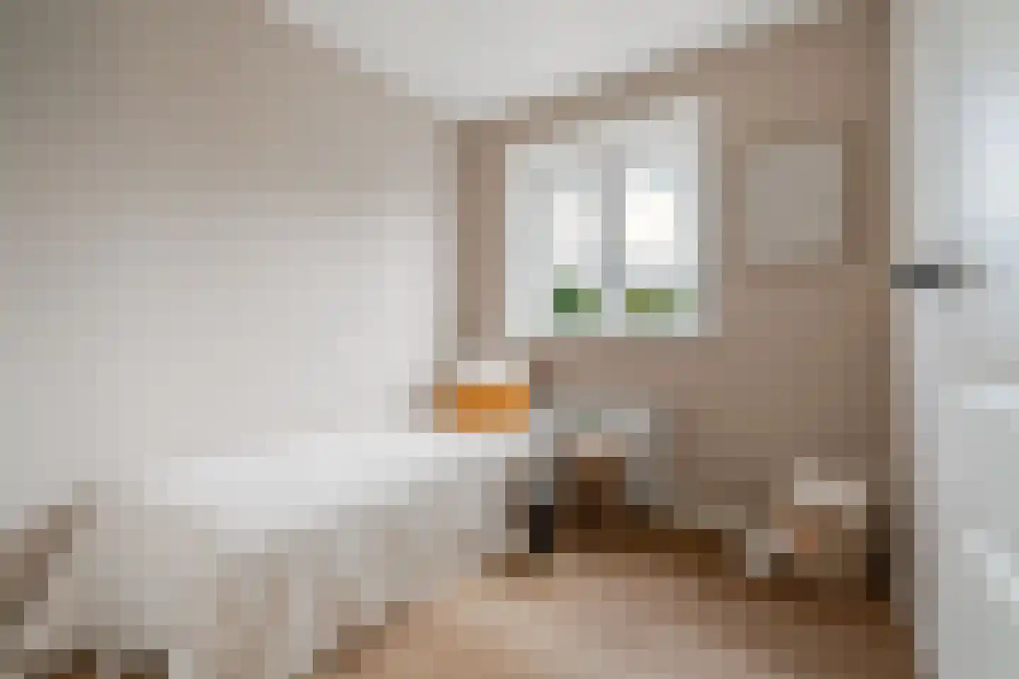 Johannes Geradtsweg 24 B Hilversum thumbnail 38