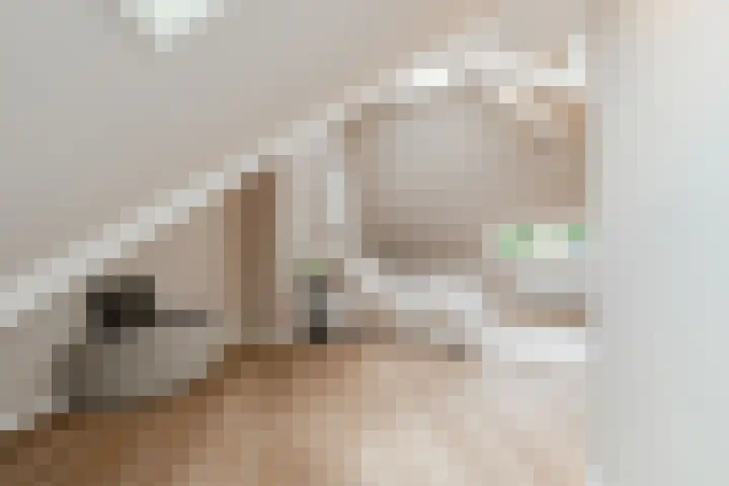 Johannes Geradtsweg 24 B Hilversum thumbnail 57