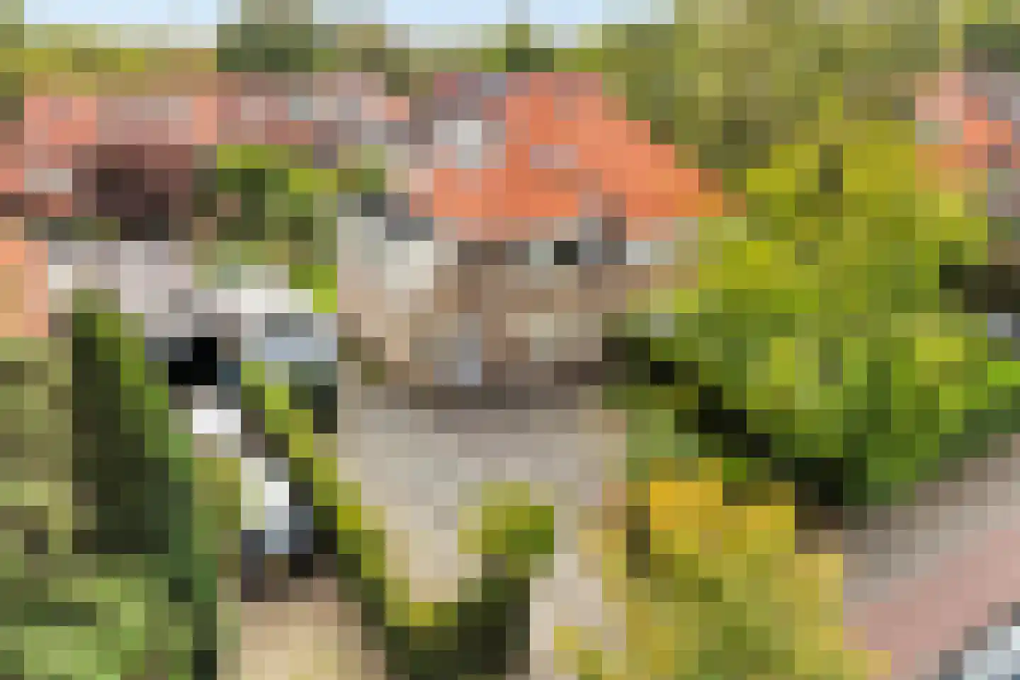 Johannes Geradtsweg 27 Hilversum