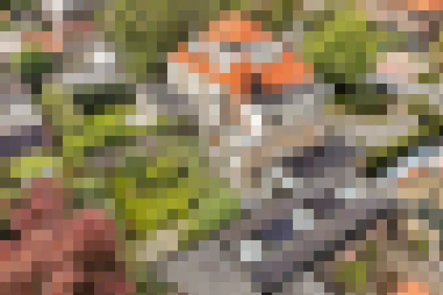 Johannes Geradtsweg 27 Hilversum thumbnail 11