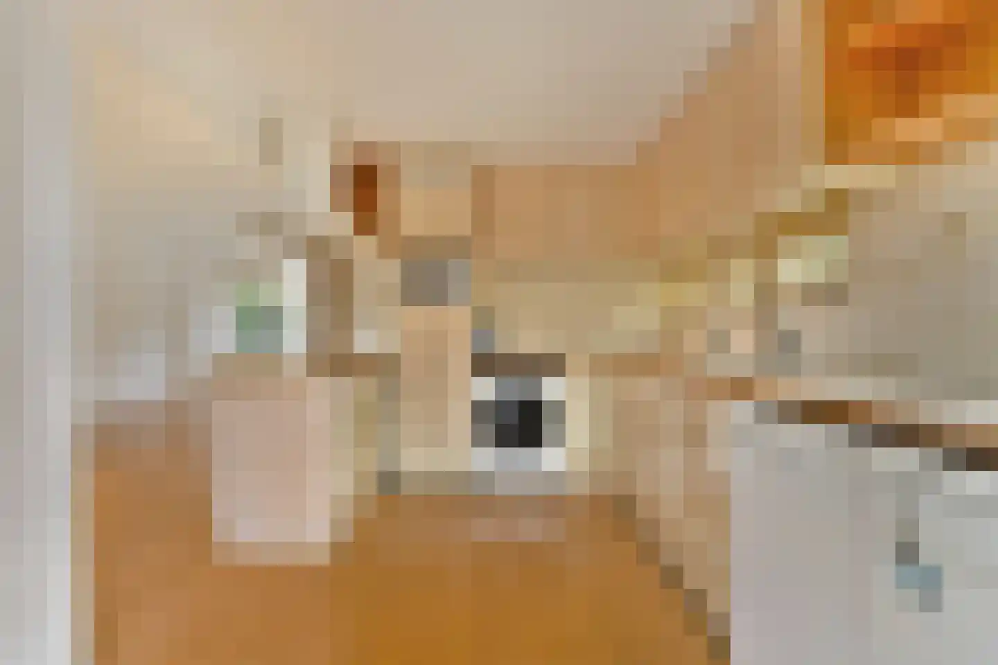 Johannes Geradtsweg 27 Hilversum thumbnail 13