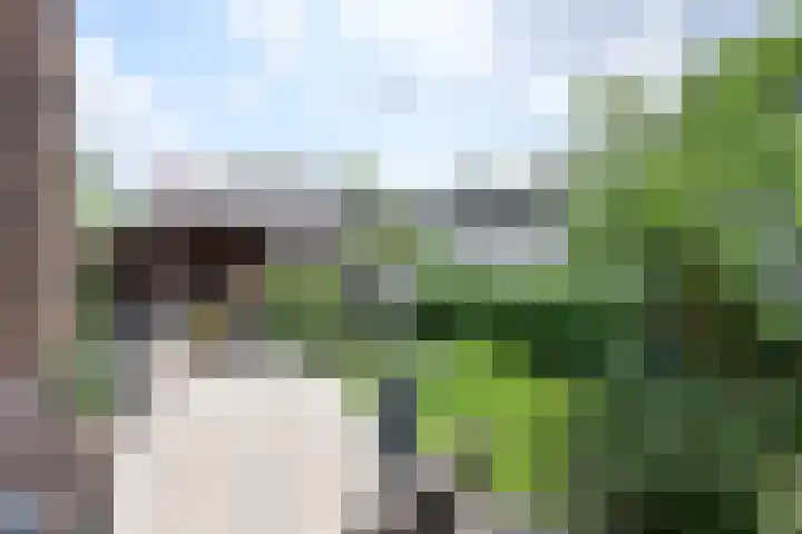 Johannes Geradtsweg 35 Hilversum thumbnail 20