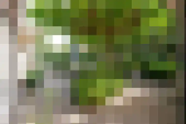 Johannes Geradtsweg 53 Hilversum thumbnail 16