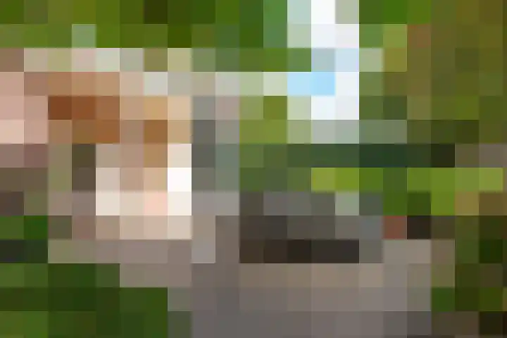 Johannes Geradtsweg 53 Hilversum thumbnail 17