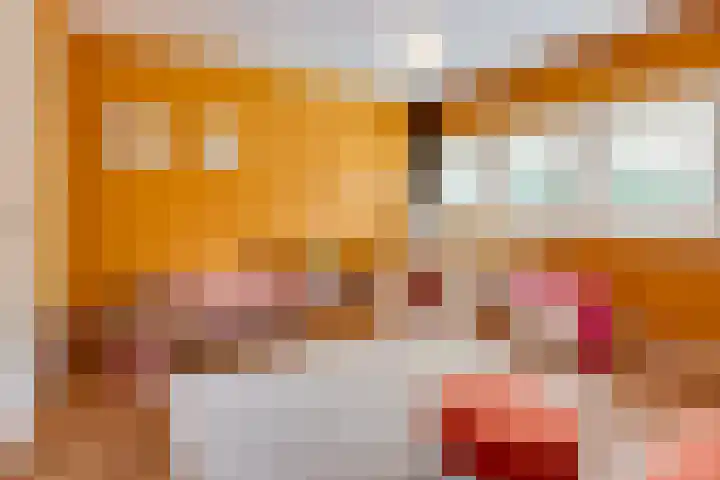 Johannes Geradtsweg 53 Hilversum thumbnail 23