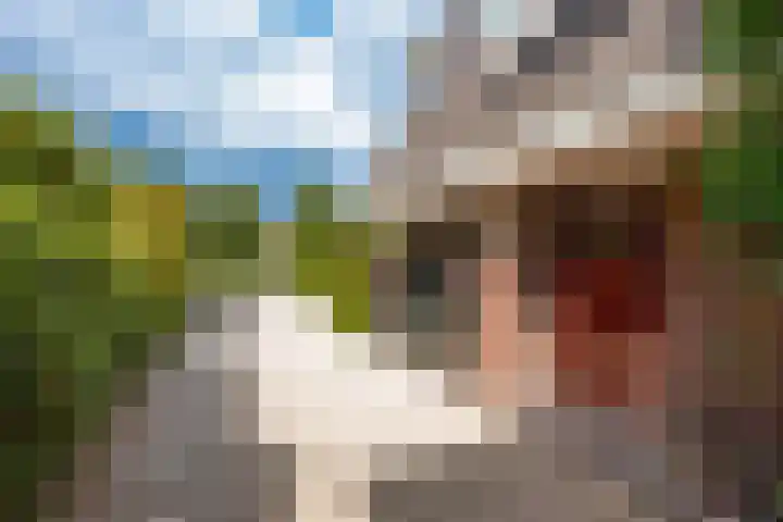 Johannes Geradtsweg 53 Hilversum thumbnail 5