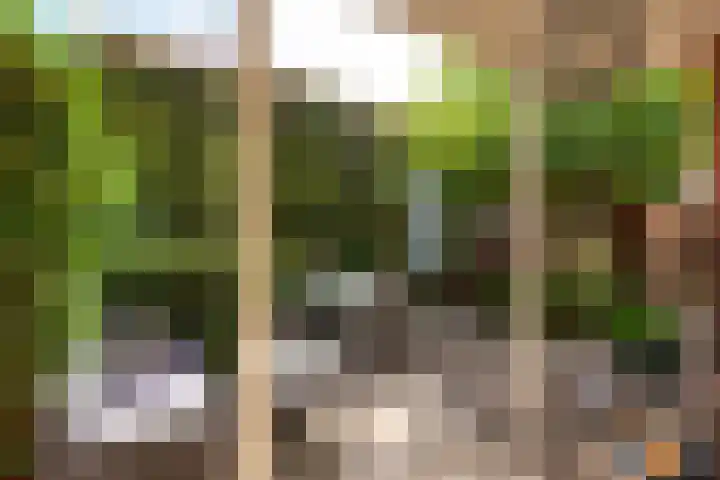 Johannes Geradtsweg 53 Hilversum thumbnail 8