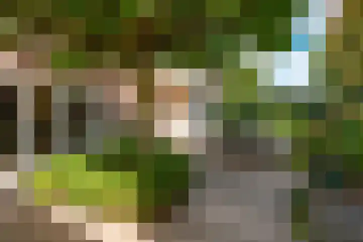 Johannes Geradtsweg 53 Hilversum thumbnail 9