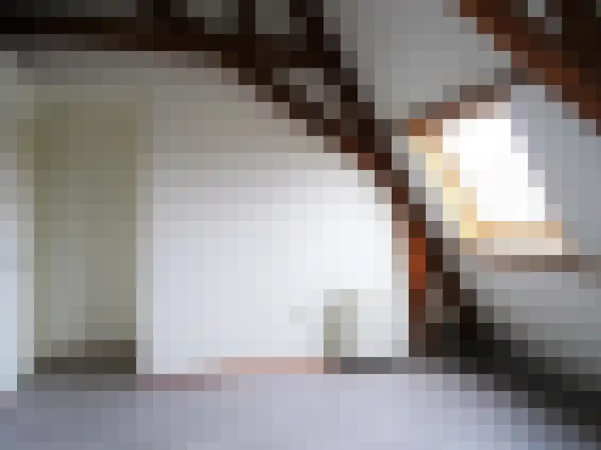 Johannes Geradtsweg 65 Hilversum thumbnail 6