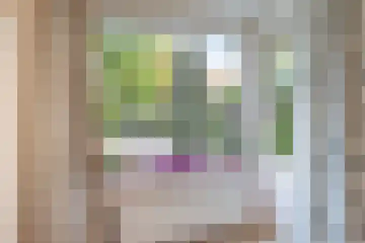 Johannes Geradtsweg 72 10 Hilversum thumbnail 14