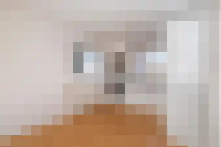 Johannes Geradtsweg 72 10 Hilversum thumbnail 17
