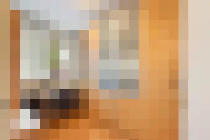 Johannes Geradtsweg 72 10 Hilversum thumbnail 17