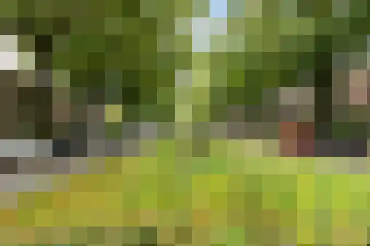 Johannes Geradtsweg 72 10 Hilversum thumbnail 25