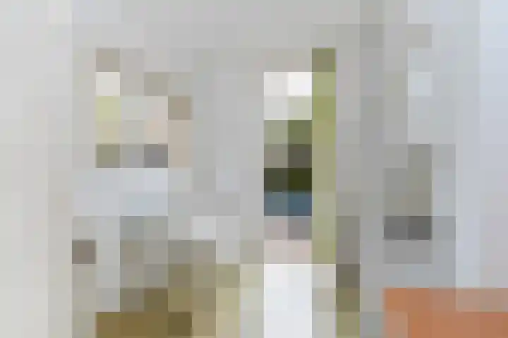 Johannes Geradtsweg 83 Hilversum thumbnail 11