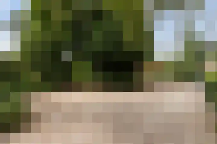 Johannes Geradtsweg 83 Hilversum thumbnail 29